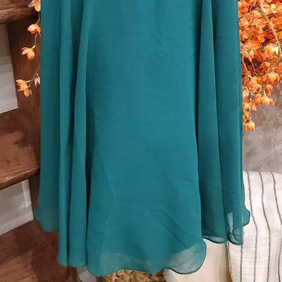 Coya Collection hand beaded dress BNWT - Picture 3 of 5